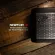 [แถมฟรีกระเป๋า]FENDER ลำโพง Bluetooth Streaming Speakers  - Newport 2 - Black Gunmmetal