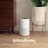 Levoit Core 300 True Hepa Air Purifier