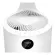 Acerpure Cool C2 Air Circulating and Air Painter Ac551-50W 2 in 1 Air Circulator and Purifier 1 year Center warranty