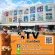 TOTAL เครื่องขัดกระดาษทราย แบบสั่น 240 วัตต์ รุ่น TF2231106  แถมฟรี กระดาษทราย 5 แผ่น  - Palm Sander รับประกันคุณภาพ