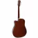Fantasia กีตาร์โปร่ง คอเว้า 41" รุ่น C41NP สีไม้