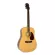 Paramount กีตาร์โปร่ง 41" ทรง Western รุ่น 750N สีไม้