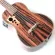 Wholesale a lot of 30 inches, all Blagwood, Barikon, Aku, electric ukulele, scaffolding and Gigbag and all accessories.