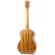 30 นิ้วซาติน Zebrawood อะคูสติกไฟฟ้าอูคูเลเล่ด้วย Truss Rod พร้อม EQ และจูนเนอร์พร้อมกระเป๋ากิกพร้อมอุปกรณ์เสริม