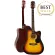 Fantasia กีต้าร์โปร่งมือใหม่ 41 นิ้ว รุ่น F100 Acoustic Guitar for Beginners + แถมฟรีกระเป๋ากีตาร์ & คาโป้ & ปิ๊กกีตาร