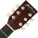 Martin Lee 38-inch acoustic guitar, Linden Wooden neck, AMTL-M38B + free Pigard & Bag & Tuner & Kapo & Set