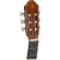 YAMAHA® Classic Size Size CG102 + Free Yamaha Bags ** Classic guitar, the best value **