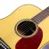 Clevan D25S 41 inch guitar, top -top Sol, Nubone ** Using D'Addario Exp12, rust -proof strap **