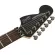 Fender® Electric guitar SQUIER® Contemporary Active Strat HH 22 Frete Poplar Floyd Rose® + Genuine Fender guitar equipment ** 1 year insurance center **