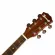 Paramount กีตาร์โปร่งไฟฟ้า 41" ทรง Western รุ่น F750CEQN สีไม้