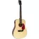 Paramount 38DJR-2, 38-inch electric guitar, Taylor shape, has a built-in strap / Mahokani + free bag & kapok & pick