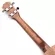 The Ukulele Solle Top Sport 23 inch concert with Ukulele accessories and guitar bags.