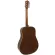 Paramount F755N 41 -inch guitar. Solidan Dian Sprus/Mahogany Solid Canadian Spruce Top Guitar