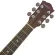 Paramount F755N กีตาร์โปร่ง 41 นิ้ว ไม้โซลิดแคนาเดียนสปรูซ/มะฮอกกานี Solid Canadian Spruce Top Guitar