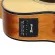 PARAMOUNT GS MINI 2, Airy Guitar 36 "Parlor shape with a built -in strap / Mahokani