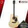 Electric guitar, Mantic AG 1ce, D Cutaway style that makes it easy to play. With premium free gifts - red turtle