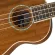 Fender® Zuma Concert Ukulele อูคูเลเล่ ไซส์ Concert ไม้ซาเปล หย่องกระดูก หัวทรงกีตาร์เทเล
