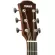 YAMAHA® AC5M 40 -inch electric guitar, Concert Body Cutaway 20 Freck, Top Solid Sidaz Side and back of the Seoul Mahogok