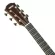 YAMAHA® A5R 41 -inch electric guitar, Dreadnough shape 20 Freck Top Silid Sidaz Side wood and back, Sol, Rose Wood + free