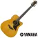 YAMAHA® A5R 41 -inch electric guitar, Dreadnough shape 20 Freck Top Silid Sidaz Side wood and back, Sol, Rose Wood + free