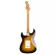 Fender® Squier® Classic Vibe 50s Strat MN กีตาร์ไฟฟ้า ปิ๊กอัพซิงเกิ้ลคอยล์ คอไม้เมเปิ้ล + แถมฟรีคันโยก ** ประกันศูนย์ 1