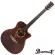 PARAMOUNT QAG501 41 inch guitar, concave neck, TAYLOR, Top Sol, Slid Stud/Mahogany coated+ free guitar bag & kapo & pick