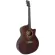 PARAMOUNT QAG501 41 inch guitar, concave neck, TAYLOR, Top Sol, Slid Stud/Mahogany coated+ free guitar bag & kapo & pick