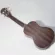 Wholesale of Ukulele concert, 23, solid, 23 -inch Hokkani, with Ukulele accessories with gig.
