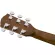 Fender® CT-60S Travel Guitar Black กีตาร์โปร่ง กีตาร์ทราเวล 38 นิ้ว ไม้ท็อปโซลิดสปรูซ + แถมฟรีกระเป๋ากีตาร์ขอบแข็ง Fender & ปิ๊กกีตาร์