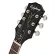 Epiphone® Les Paul Muse กีตาร์ไฟฟ้า ปิ๊คอัพ Humbucker 22 เฟร็ต ทรง Les Paul ไม้มะฮอกกานี หย่อง GraphTech ปิ๊กอัพตัดคอยล์