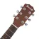PARAMOUNT MI-01, airy guitar 36 inches, spruce / Mahogany + free, free bag, sponge bag, MB36 / Kapo / Pick ** Travel G
