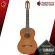 [Bangkok & Metropolitan Region Send Grab Quick] Classical guitar Yamaha C40 [Free gifts] [with Set Up & QC easy to play] [Insurance from zero] [100%authentic] [Free delivery] Turtle