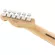 Fender® Player Tele HH Electric guitar 22 Freck Hamb Pua Ferro Wooden Car ** Made in Mexico / 1 year center insurance **