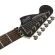 Fender® กีตาร์ไฟฟ้า Squier® Contemporary Active Strat HH 22 เฟร็ต ไม้ Poplar มี Floyd Rose®