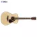 Yamaha® FS800 Acoustic Guitar กีตาร์โปร่ง 40 นิ้ว ไม้ท็อปโซลิดสปรูซ ทรง Concert + ฟรีกระเป๋ากีตาร์ Yamaha ของแท้