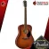 Fender Paramount PD-20E DREADNOUGHT [free free gift] [with Set Up & QC easy to play] [Insurance from zero] [100%authentic] [Free delivery] Red turtle