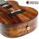 Ukulele Kaka Kuc-KK Flower pattern, pleasing work with all ages With premium free gifts - red turtle