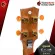 Ukulele ENYA EUC K1, genuine, shiny, luxurious, too much price With 6 most free gifts. Free shipping - Red turtle