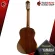 [Bangkok & Metropolitan Lady to send Grab Quick] Classical guitar yamaha C70 [free gift] [with Set Up & QC easy to play] [Insurance from zero] [100%authentic] [Free delivery] Turtle