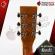 Kazuki Mars Series D1CETAC New Item Electric D1CETAC D1CEMEM DE CUTAHAWAY Soft DE CUTAWAY with Transacoustic with 8 Premium free delivery - Red Turtle.