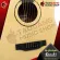 Kazuki Mars Series D1CETAC New Item Electric D1CETAC D1CEMEM DE CUTAHAWAY Soft DE CUTAWAY with Transacoustic with 8 Premium free delivery - Red Turtle.