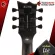 LTD EC 25 256 LES PAUL Body and neck, made of Mahogany Bridge, Tom & Tailpiece, with 7 premium free items, free shipping.