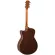 Yamaha® AC1M กีตาร์โปร่งไฟฟ้า 40 นิ้ว ทรง Concert  ไม้หน้าโซลิดซิทก้าสปรูซ ปิ๊กอัพมีเทคโนโลยี SRT + แถมฟรี Sound hole &