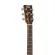 YAMAHA® FSX800C 41 -inch electric guitar, Sandburst Concert ** Top Soda Sida Sida Sida ** + Free Yamaha Genuage Bags *