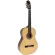 [Free delivery every day] Paramount CL-39 Classic Guitar 39 "Size 4/4 Genuine Top Slide Study Golden knob Solid Spruce Top Classical Guitar + Free bag & C