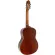[ส่งฟรี ส่งทุกวัน] Paramount CL-39 กีตาร์คลาสสิค 39" ขนาด 4/4 ไม้แท้ท็อปโซลิดสปรูซ ลูกบิดสีทอง Solid Spruce Top Classical Guitar + แถมฟรีกระเป๋า & ค