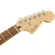 Fender® Player Jazzmaster กีตาร์ไฟฟ้า 22 เฟรต ไม้อัลเดอร์ ปิ๊กอัพตัดคอยล์ดได้ ** Made in Mexico / ประกันศูนย์ 1 ปี **