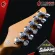 กีต้าร์ไฟฟ้า Soloking MS1 Classic HSS - Electric Guitar Soloking MS1 [ฟรีของแถม] [พร้อมSet Up&QCเล่นง่าย] [ประกันจากศูนย์] [แท้100%] [ส่งฟรี] เต่าเเดง