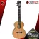 Ukulele KAKA KUC100D, KUT100D colors Natural [Free gifts] [with Set Up & QC Easy to play] [Insurance from zero] [100%authentic] [Free delivery] Turtle