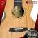 Ukulele KAKA KUC100D, KUT100D colors Natural [Free gifts] [with Set Up & QC Easy to play] [Insurance from zero] [100%authentic] [Free delivery] Turtle